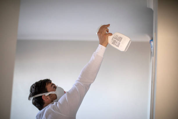 Best Professional Mold Removal  in West Point, NE